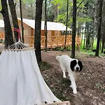 Glamping Mazury - Przystan Luxuszelt Jeziorany