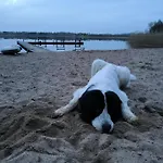 Glamping Mazury - Przystan Luxuszelt *