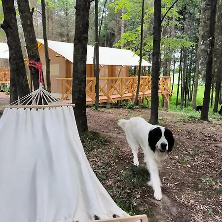 Glamping Mazury - Przystan Luxury tent Jeziorany