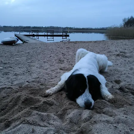 Glamping Mazury - Przystan Luksusowy namiot *