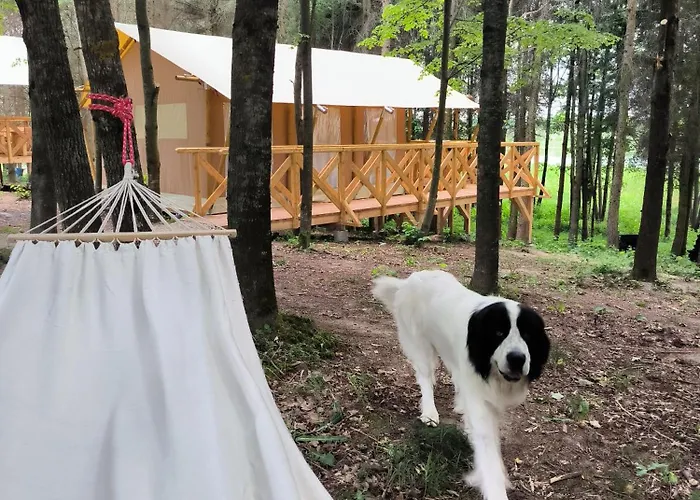 Glamping Mazury - Przystan Luxury tent Jeziorany