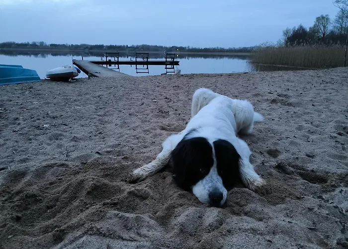 Glamping Mazury - Przystan Luxury tent *